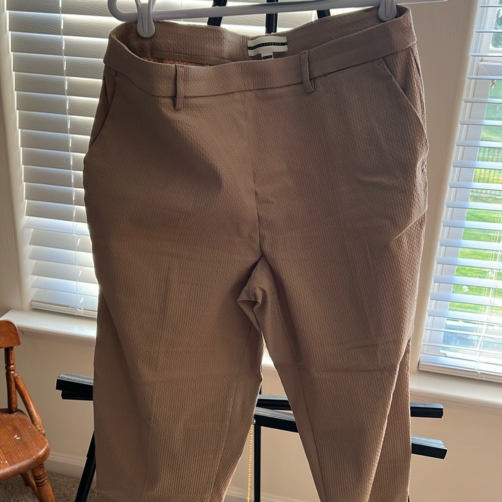 Dress slacks for women. Design in fabric